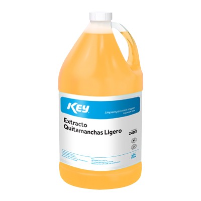 KEY EXTRACTO QUITAMANCHAS 4 L